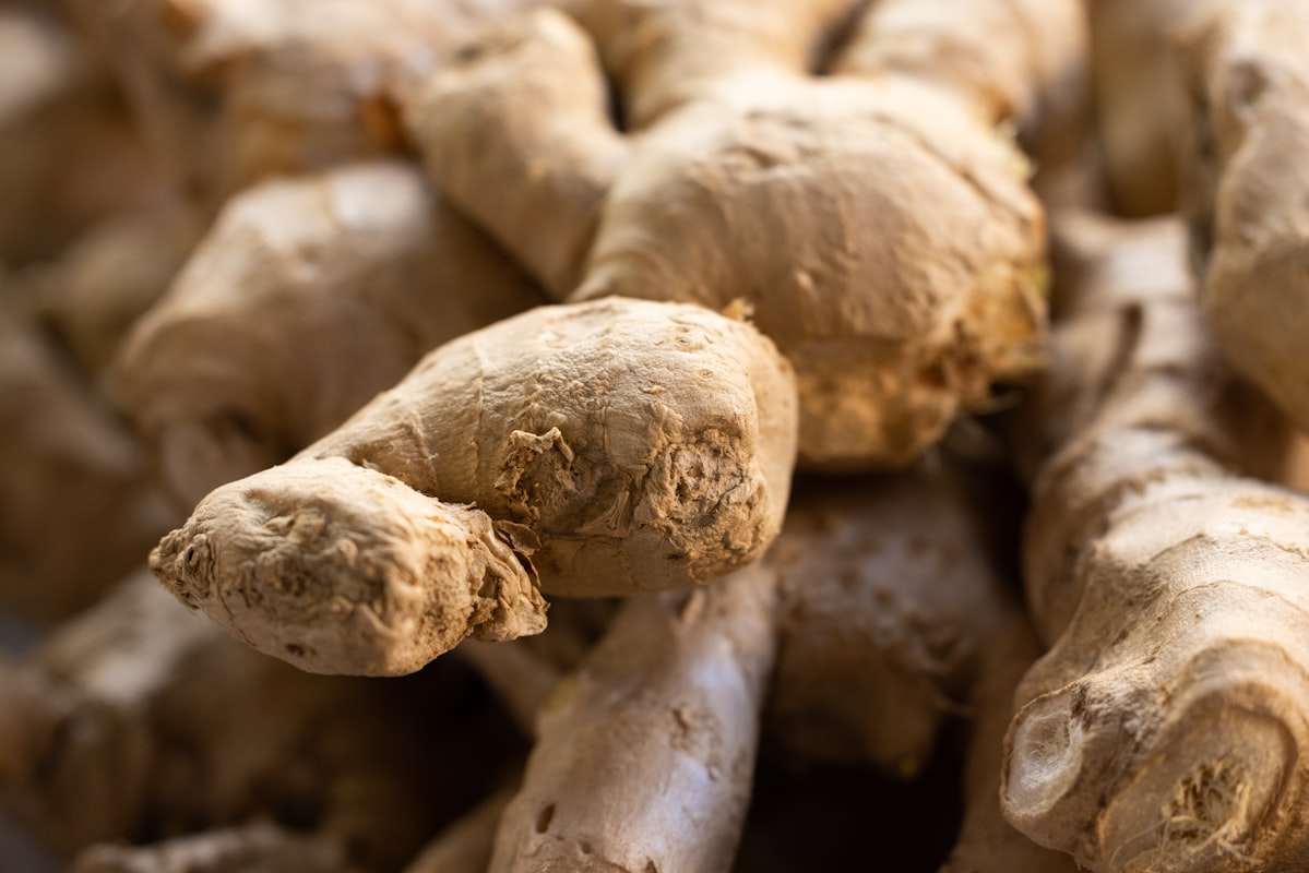 Turmeric with curcumin for joint support